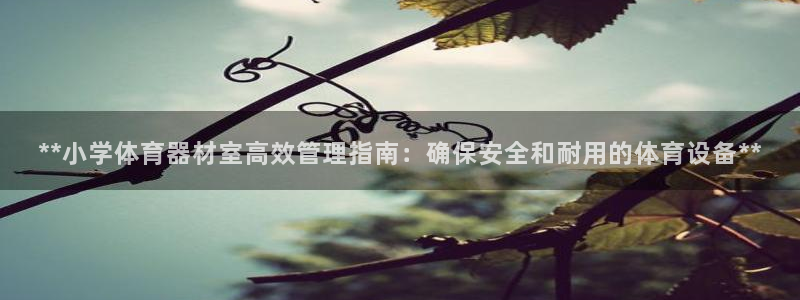 必一体育sport官