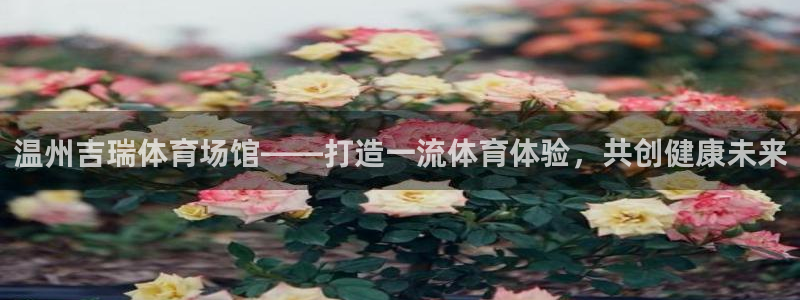 必一体育流水线是什么