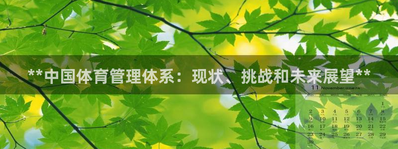必一体育app官方下载入口
