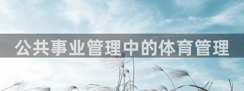 必一体育旧版：公共事