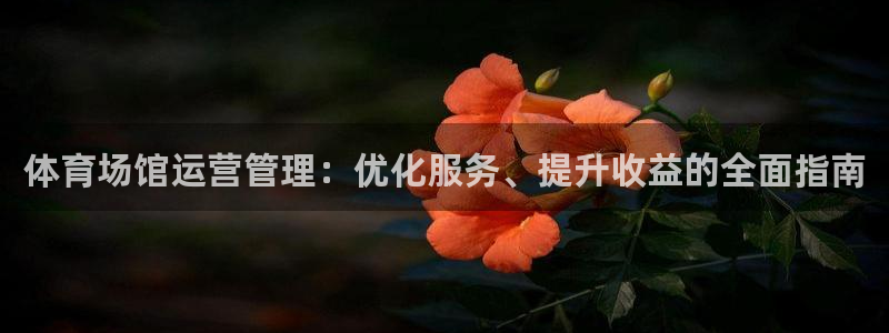 必一体育网站：体育场