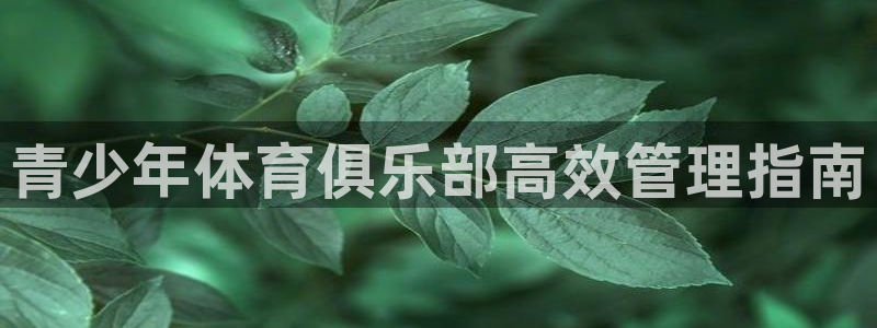 必一体育登录入口AP
