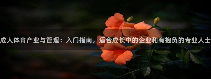 必一体育在线登陆：成
