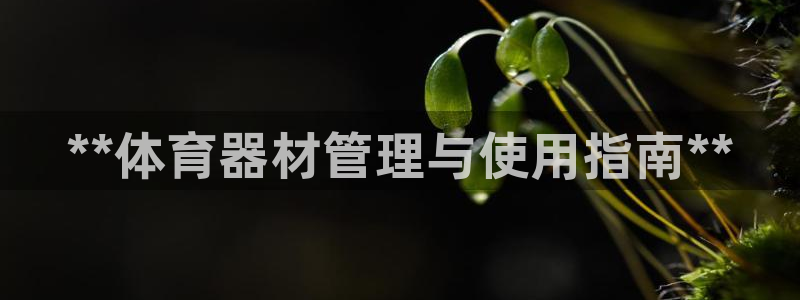 必一运动听的歌
