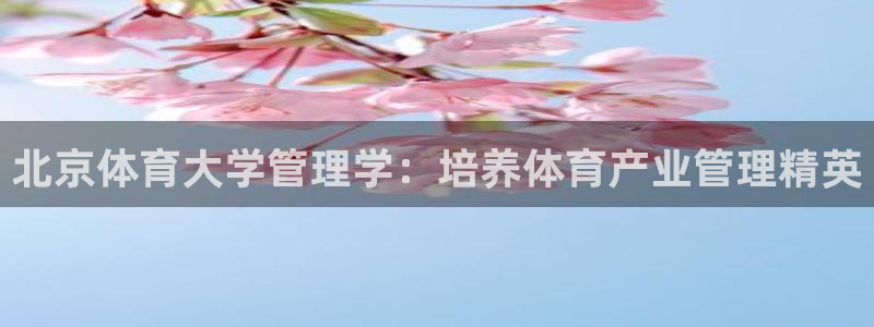 必一体育网页版登录