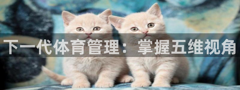必一体育sport装机吧