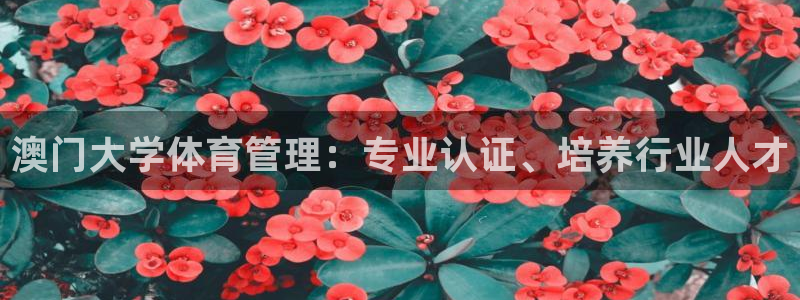 必一体育sport：