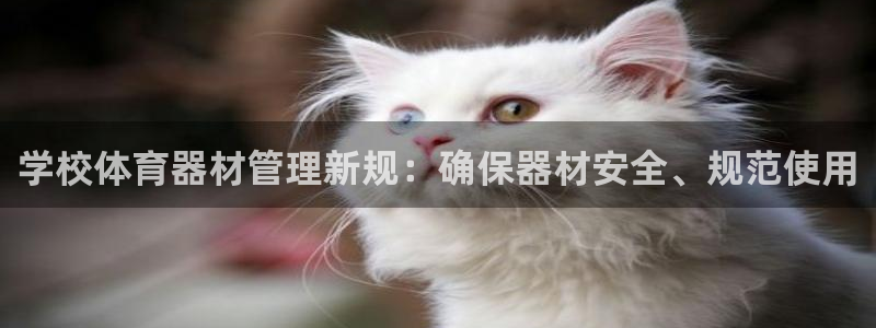 必一运动官网平台：学
