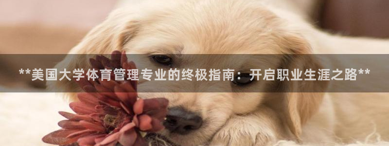 必一体育sportB