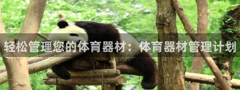 必一体育sport装
