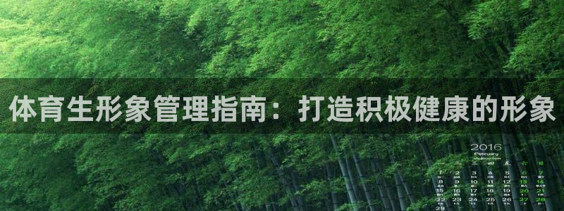 必一体育app官方网