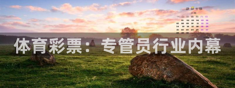 必一运动体育官网