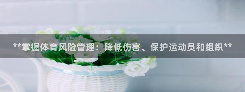 必一运动sport爱