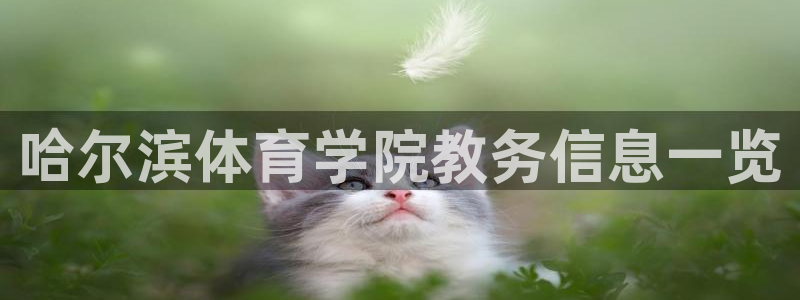 必一体育合法吗