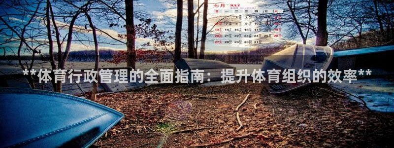 b体育必一下载：**