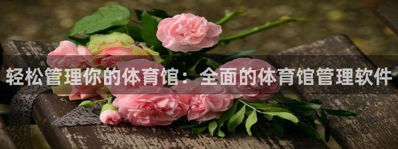 必一体育官网入口