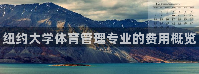 必一体育登录：纽约大