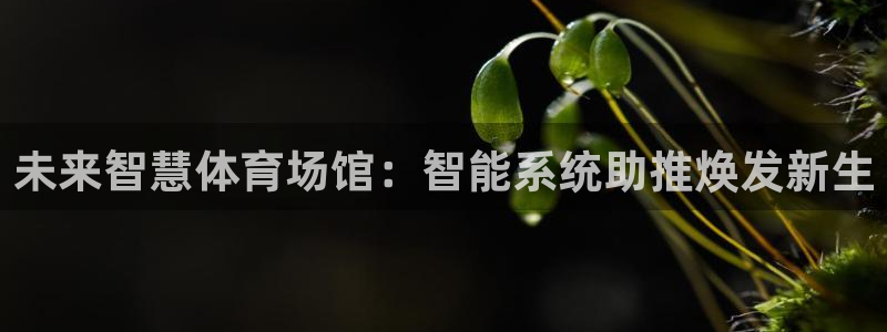 必一体育app下载最新版本苹果