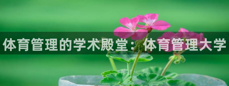 必一体育电子app