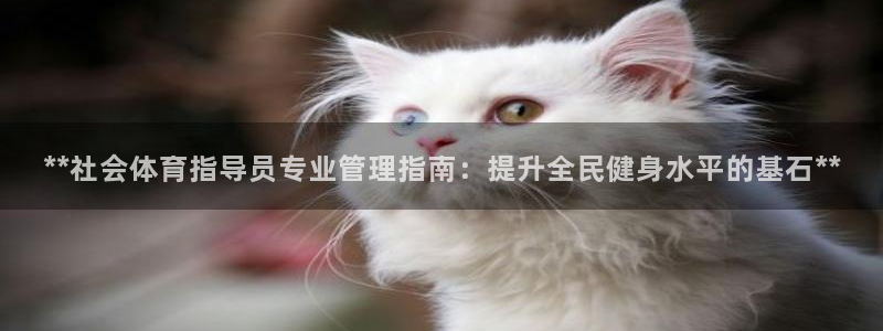 b体育必一下载：**