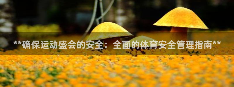 必一体育APP下载安装