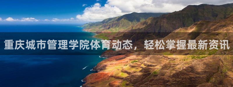 必一体育网页登录版官网