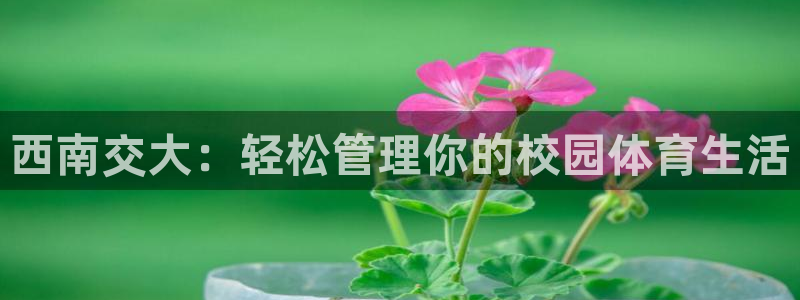 必一体育手机下载：西