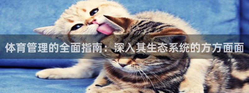 必一运动sport网页版