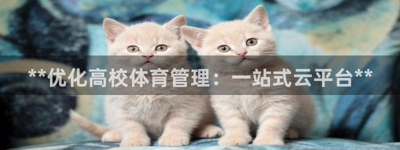 必一体育官方app下