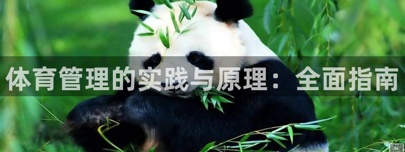 必一体育怎么下载