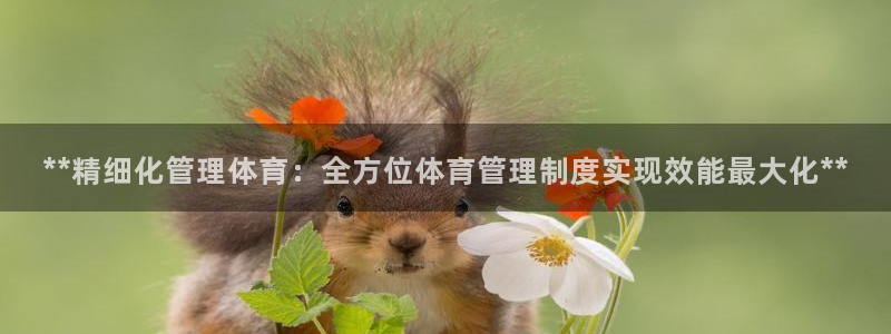 必一运动官网登录入口