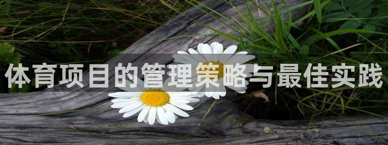 必一运动体：体育项目