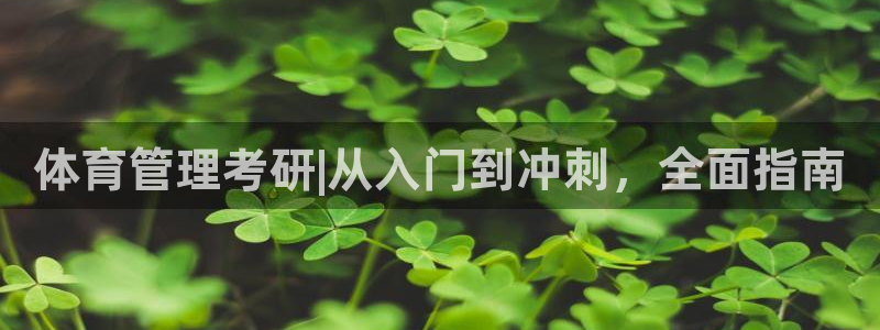 必一体育运动平台官网