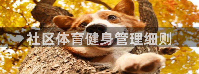 必一体育运动app：