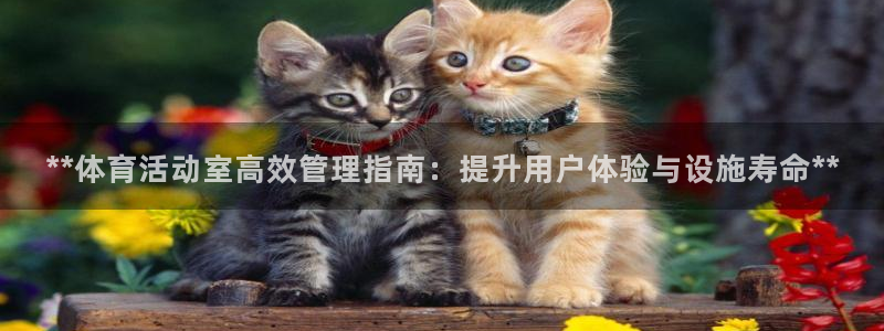 必一体育sport官