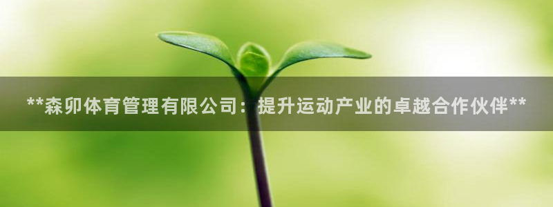 必一体育app官方下