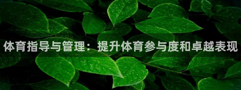 必一体育旧版