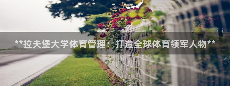 必一体育运动app：