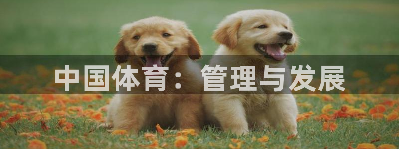 必一体育登陆：中国体