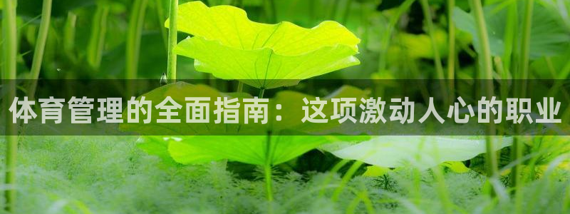 必一运动官网：体育管