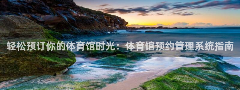 必一体育sport官