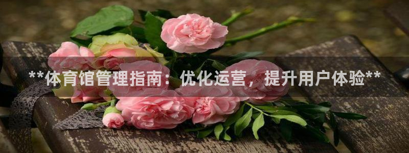必一体育旧版：**体