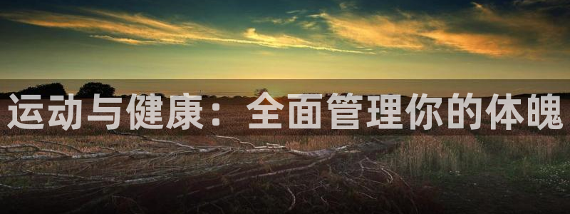 必一体育电子app