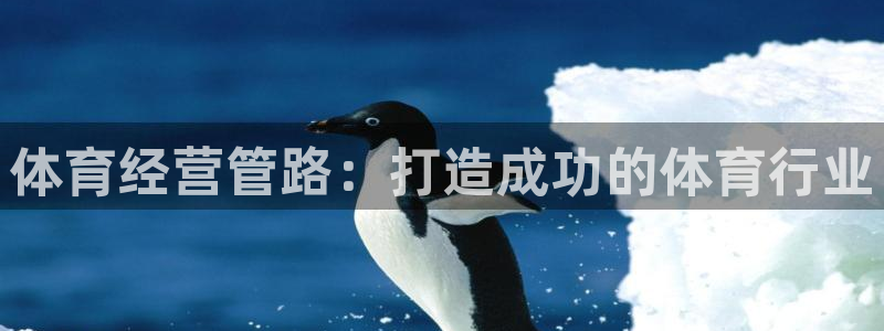 必一体育sportB