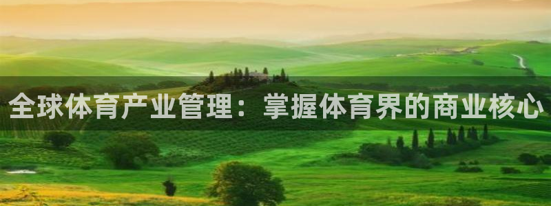 必一体育能提现大金额吗