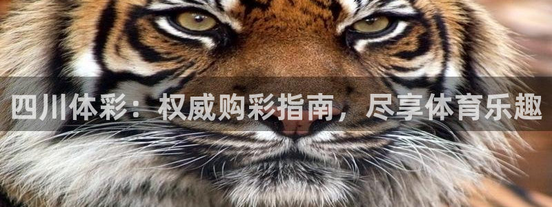 必一体育验证码：四川