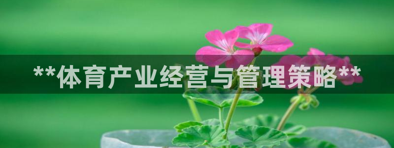 必一体育官网网站