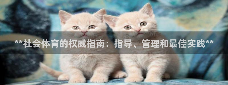 必一体育app官方正