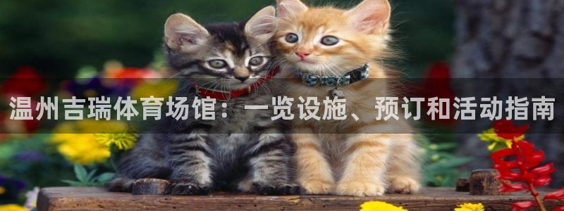 必一体育是哪里的台子