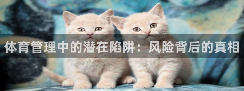 必一体育登录入口APP